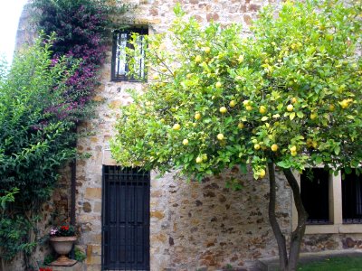 Colindres - Casa Torre de los Agüero 5