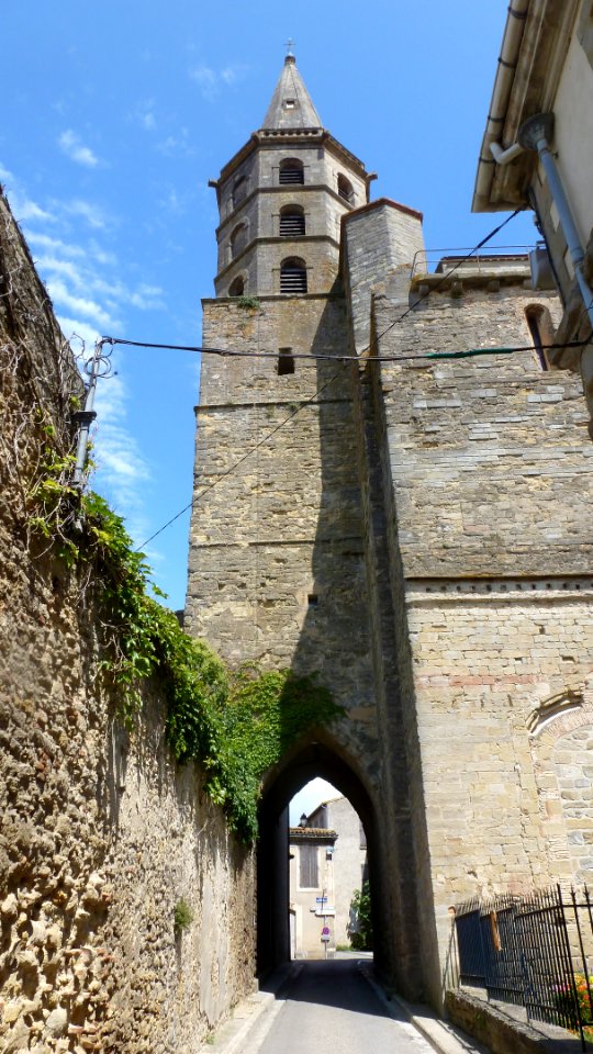 Collégiale Saint-Michel de Castelnaudary 15