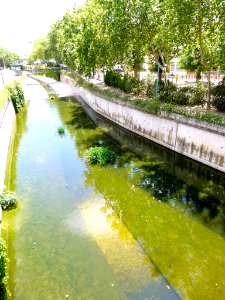Collado Villalba - Río Guadarrama 1