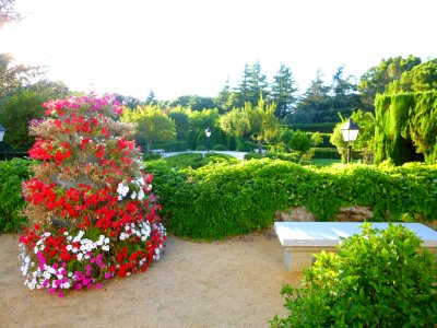 Collado Villalba - Parque de Peñalba 4