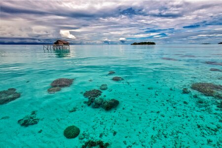 John longa island halma hera south indonesia