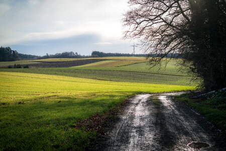 Strommast arable trail photo