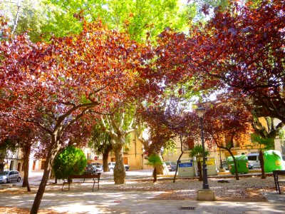 Cocentaina - Plaza de la Font 07