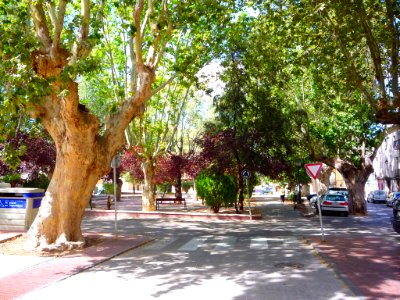 Cocentaina - Plaza de la Font 01