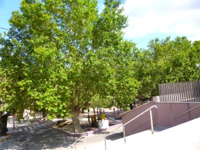 Cocentaina - Plaza de la Font 06