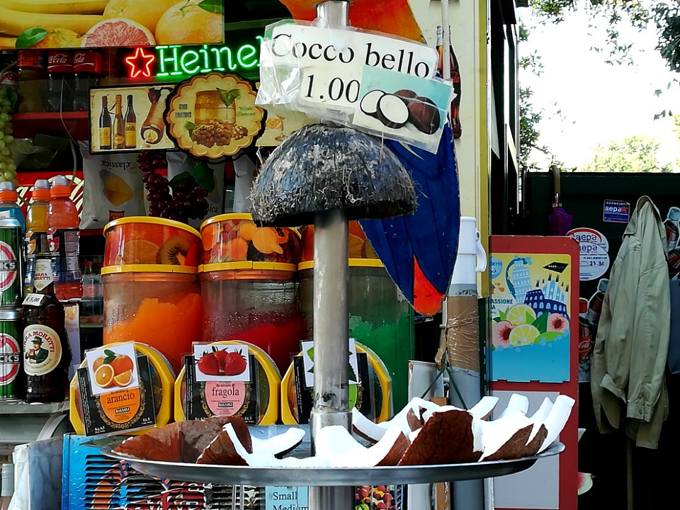 Cocco a Venezia 2017 02