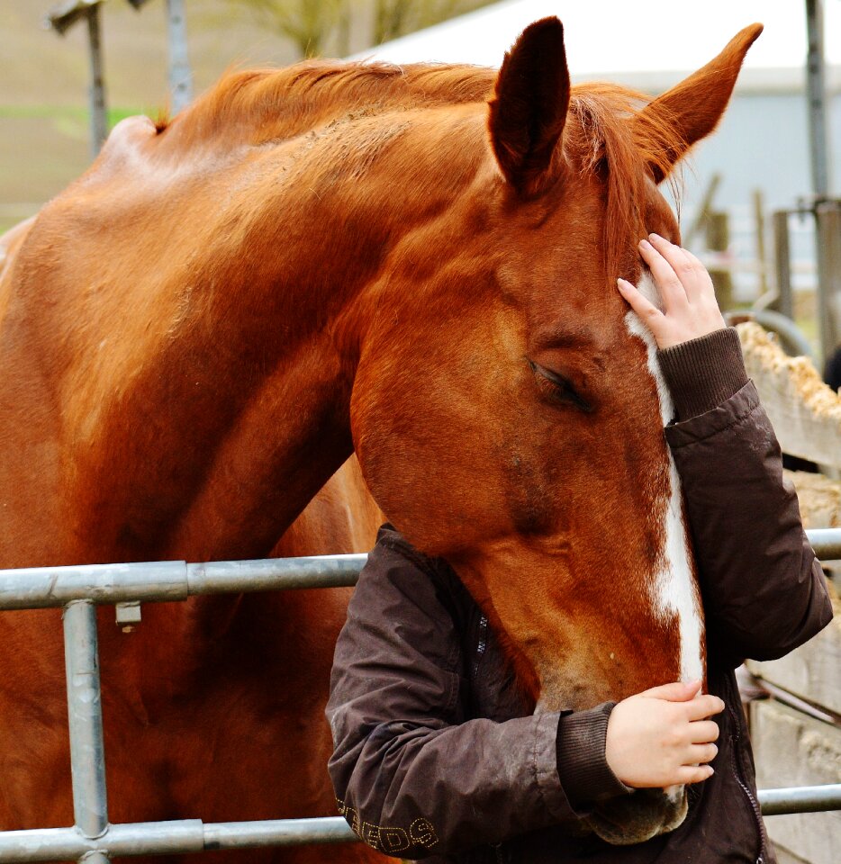 Feel good cuddly sweet