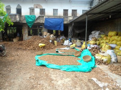 Coconut button factory in Dongjiao - 09