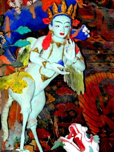 Cocotte tibétaine