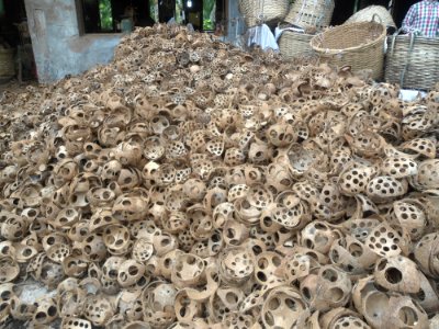 Coconut button factory in Dongjiao - 05