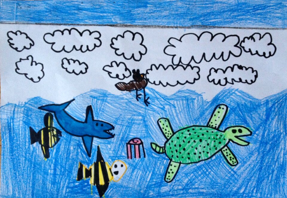 Kids drawing fish turture