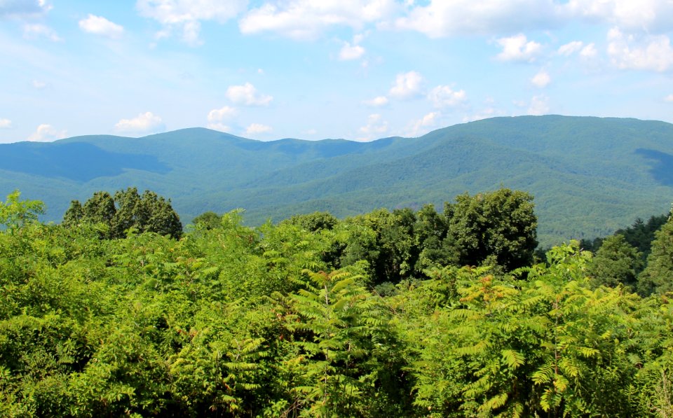 Cohutta Overlook, Murray County, Georgia