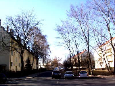 Cohnstrasse1