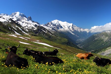 Migration trekking mountain