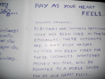 Coconuts - Pay As Your Heart Feels - 2