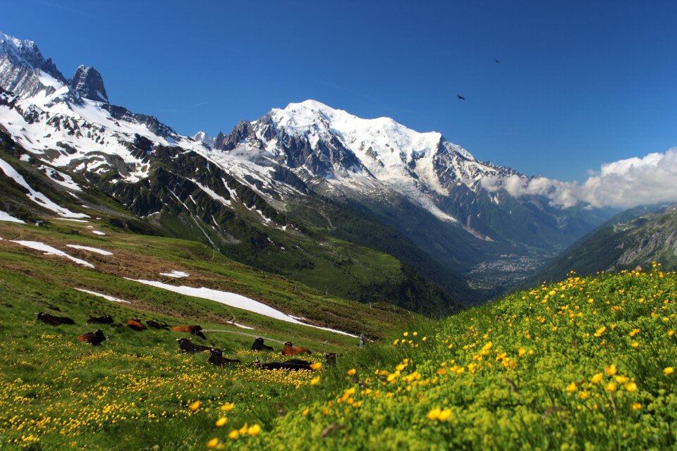 Migration trekking mountain
