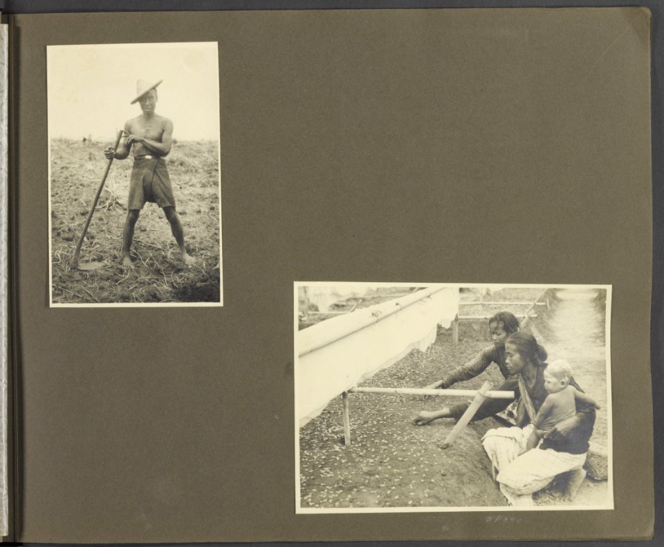 Collectie Fotocollectie Deli Maatschappij, fotonummer 831 04, Bestanddeelnr 831 04