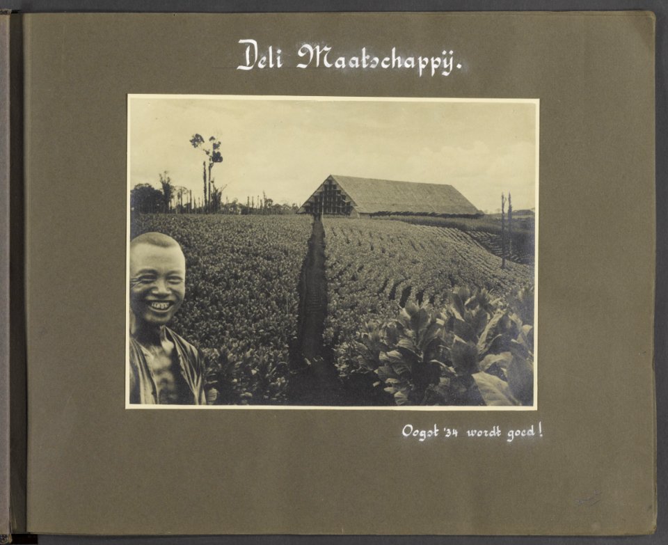 Collectie Fotocollectie Deli Maatschappij, fotonummer 831 03, Bestanddeelnr 831 03
