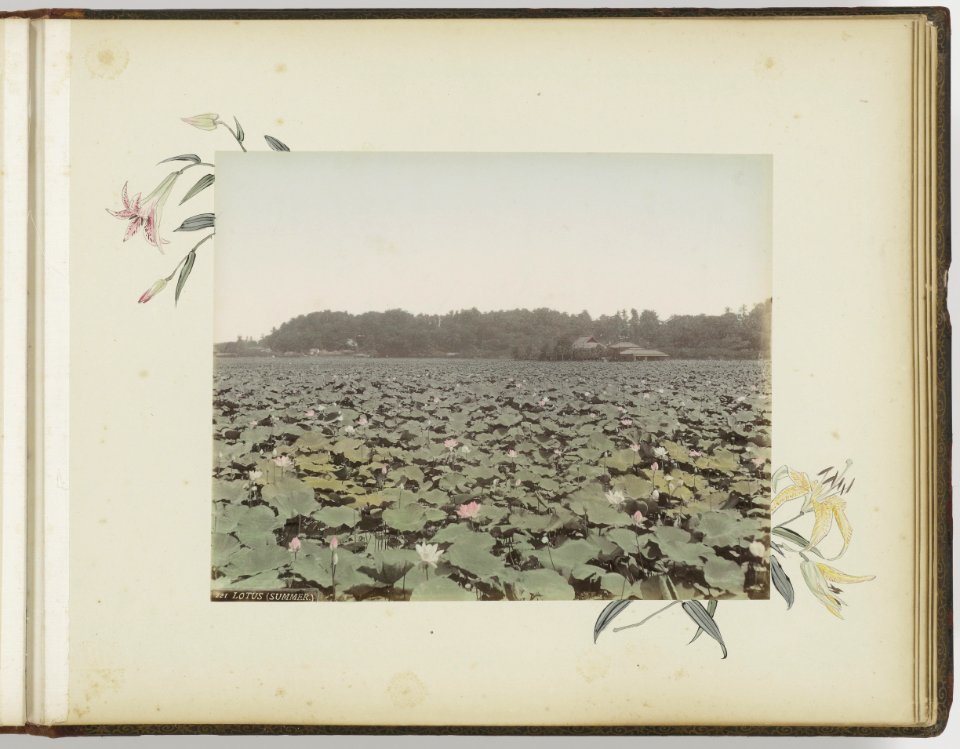 Collectie Fotocollectie Deli Maatschappij, fotonummer 837 42, Bestanddeelnr 837 42