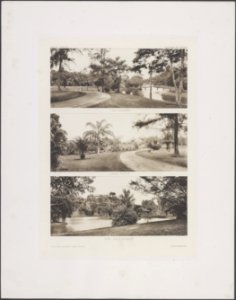 Collectie Fotocollectie Deli Maatschappij, fotonummer 844 32, Bestanddeelnr 844 32