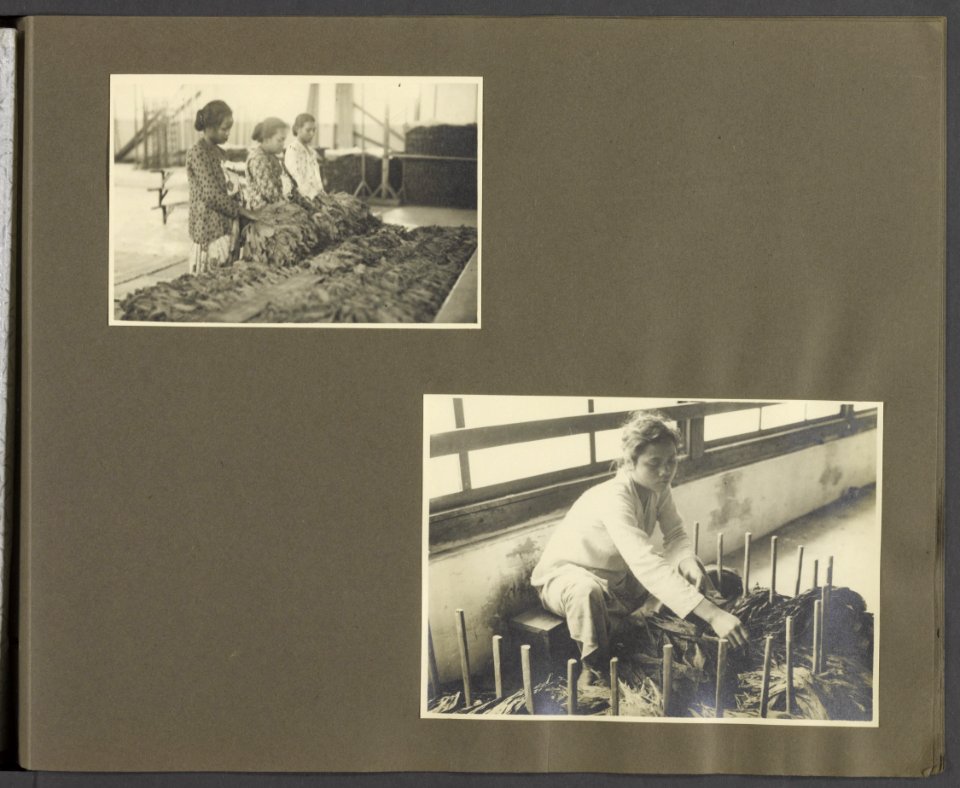 Collectie Fotocollectie Deli Maatschappij, fotonummer 844 53, Bestanddeelnr 844 53