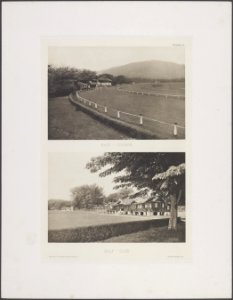 Collectie Fotocollectie Deli Maatschappij, fotonummer 844 65, Bestanddeelnr 844 65