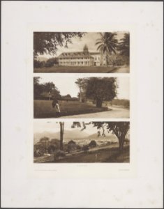 Collectie Fotocollectie Deli Maatschappij, fotonummer 844 49, Bestanddeelnr 844 49
