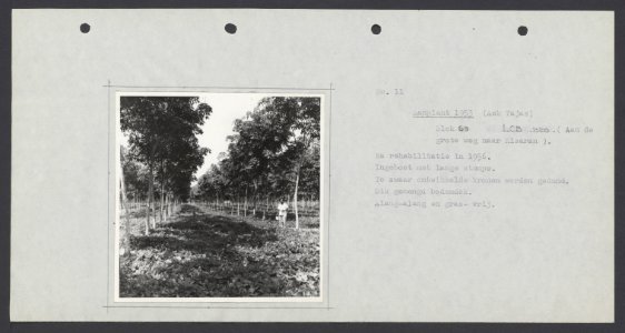 Collectie Fotocollectie Deli Maatschappij, fotonummer 833 14, Bestanddeelnr 833 14
