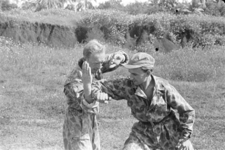 Collectie Fotocollectie Dienst voor Legercontacten Indonesië, fotonummer 244-2-5, Bestanddeelnr 244-2-5