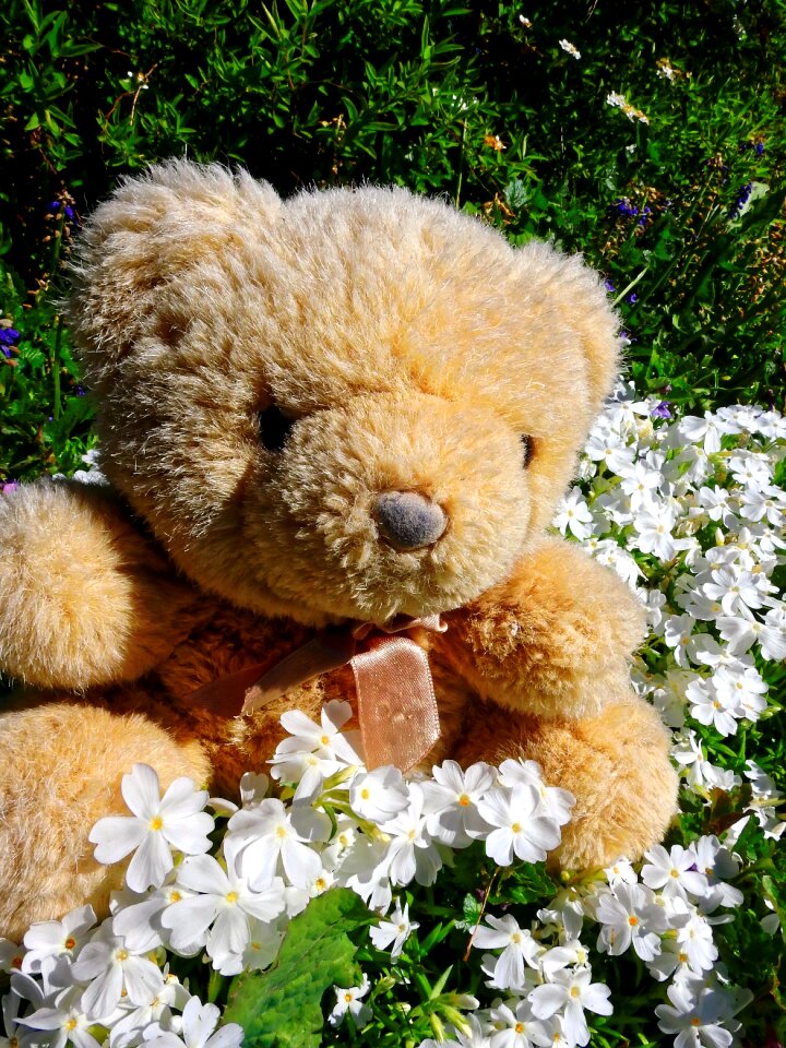 Stuffed animal bears stuffed animals