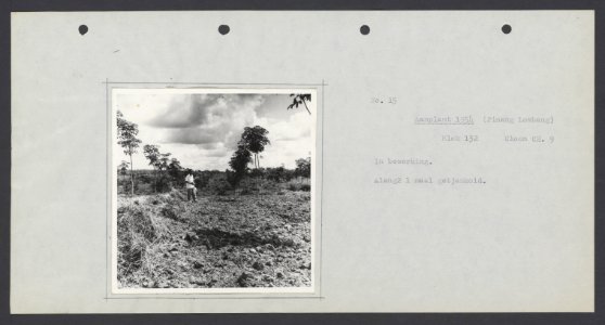 Collectie Fotocollectie Deli Maatschappij, fotonummer 833 18, Bestanddeelnr 833 18