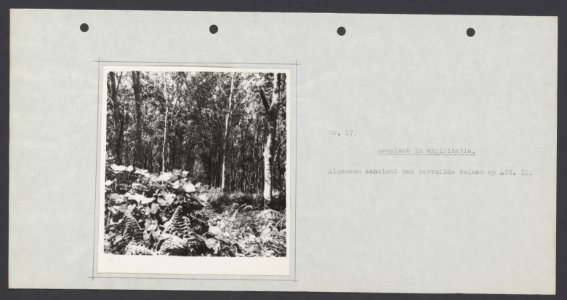Collectie Fotocollectie Deli Maatschappij, fotonummer 833 21, Bestanddeelnr 833 21