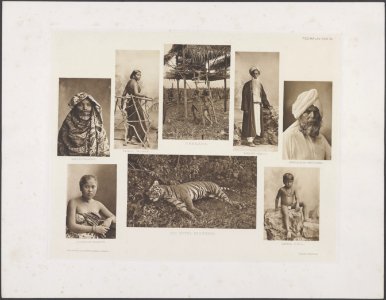 Collectie Fotocollectie Deli Maatschappij, fotonummer 844 59, Bestanddeelnr 844 59