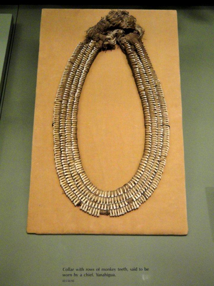Collar with rows of monkey teeth, Yanahigua - AMNH - DSC06158