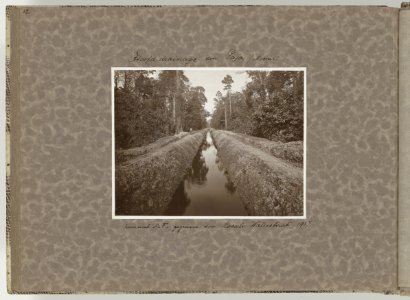 Collectie Fotocollectie Deli Maatschappij, fotonummer 840 33, Bestanddeelnr 840 33