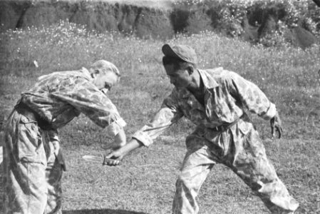 Collectie Fotocollectie Dienst voor Legercontacten Indonesië, fotonummer 243-1-3, Bestanddeelnr 243-1-3