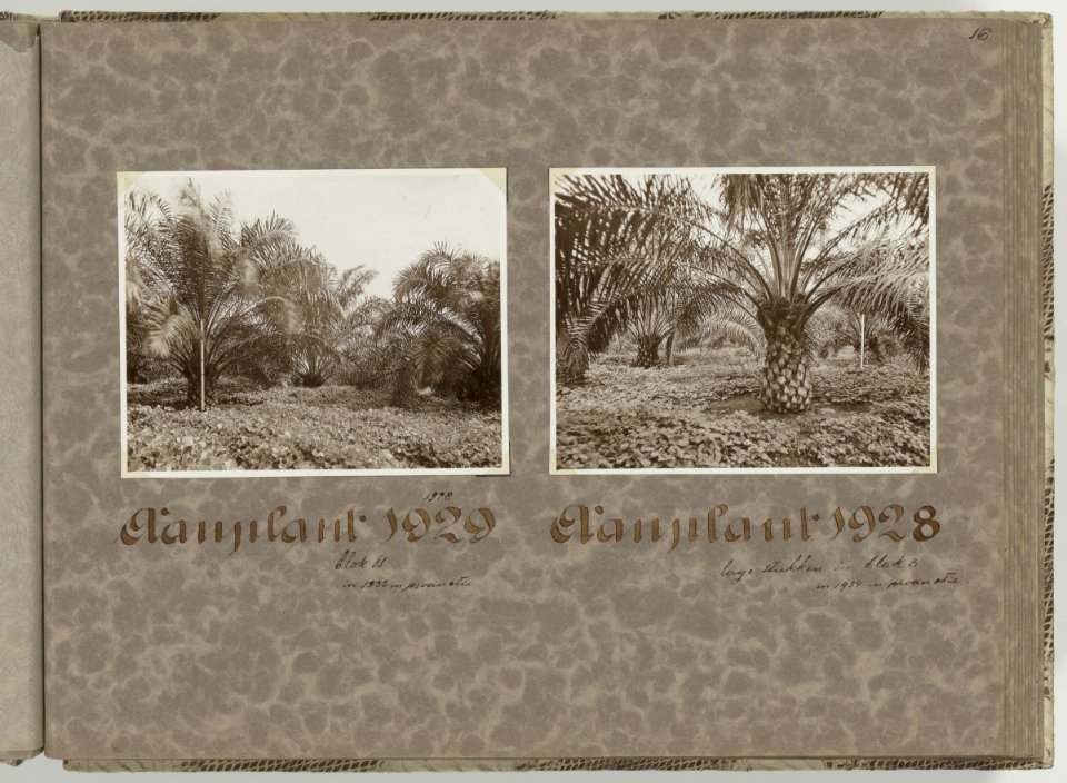 Collectie Fotocollectie Deli Maatschappij, fotonummer 840 17, Bestanddeelnr 840 17