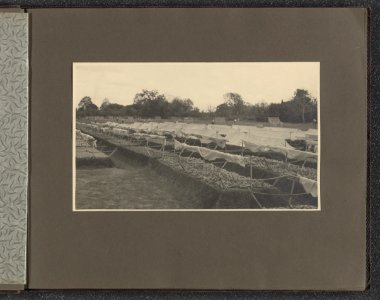 Collectie Fotocollectie Deli Maatschappij, fotonummer 831 06, Bestanddeelnr 831 06