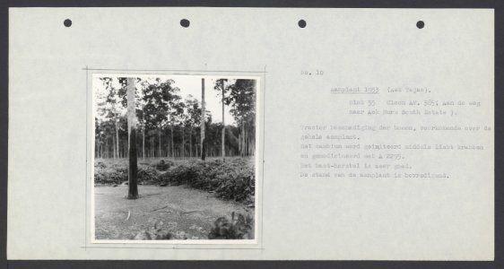 Collectie Fotocollectie Deli Maatschappij, fotonummer 833 13, Bestanddeelnr 833 13