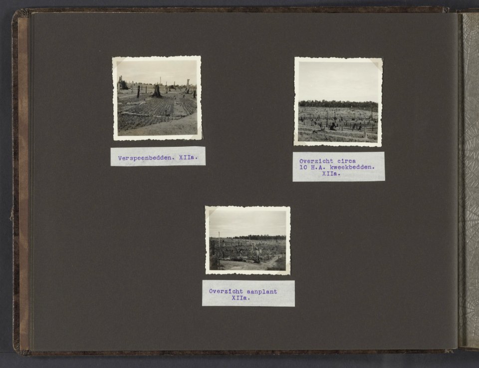Collectie Fotocollectie Deli Maatschappij, fotonummer 832 08, Bestanddeelnr 832 08