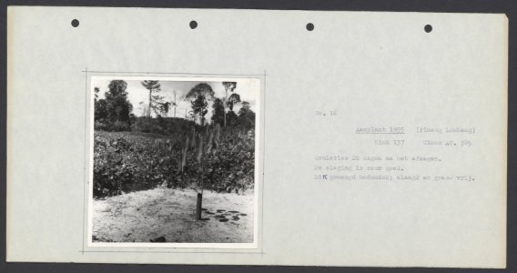 Collectie Fotocollectie Deli Maatschappij, fotonummer 833 19, Bestanddeelnr 833 19
