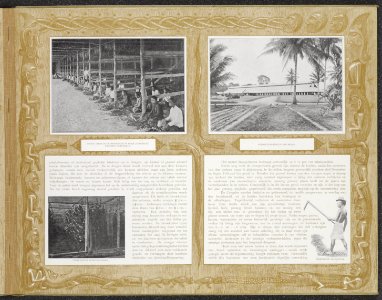 Collectie Fotocollectie Deli Maatschappij, fotonummer 844 37, Bestanddeelnr 844 37