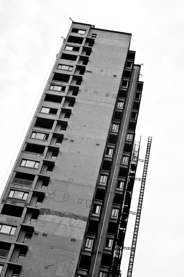 Black and white city line
