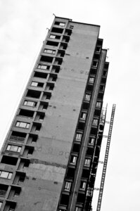 Black and white city line