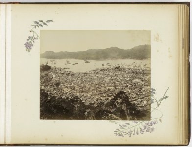 Collectie Fotocollectie Deli Maatschappij, fotonummer 837 28, Bestanddeelnr 837 28