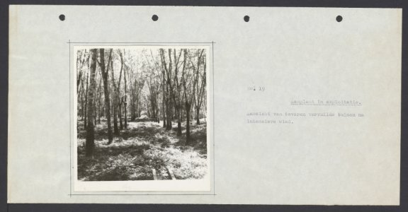 Collectie Fotocollectie Deli Maatschappij, fotonummer 833 23, Bestanddeelnr 833 23