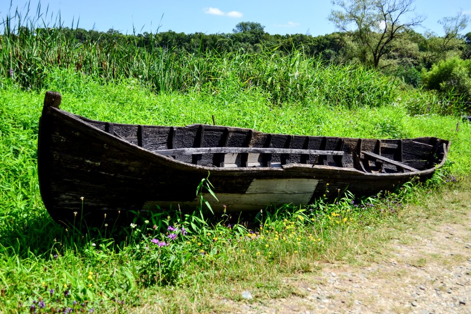Grass nature green boat