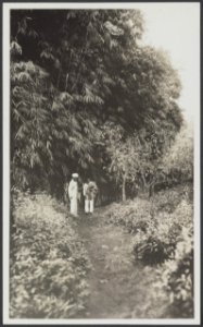 Collectie Collectie 558 Ph. C. Visser, fotonummer 34A 1, Bestanddeelnr 34A 1