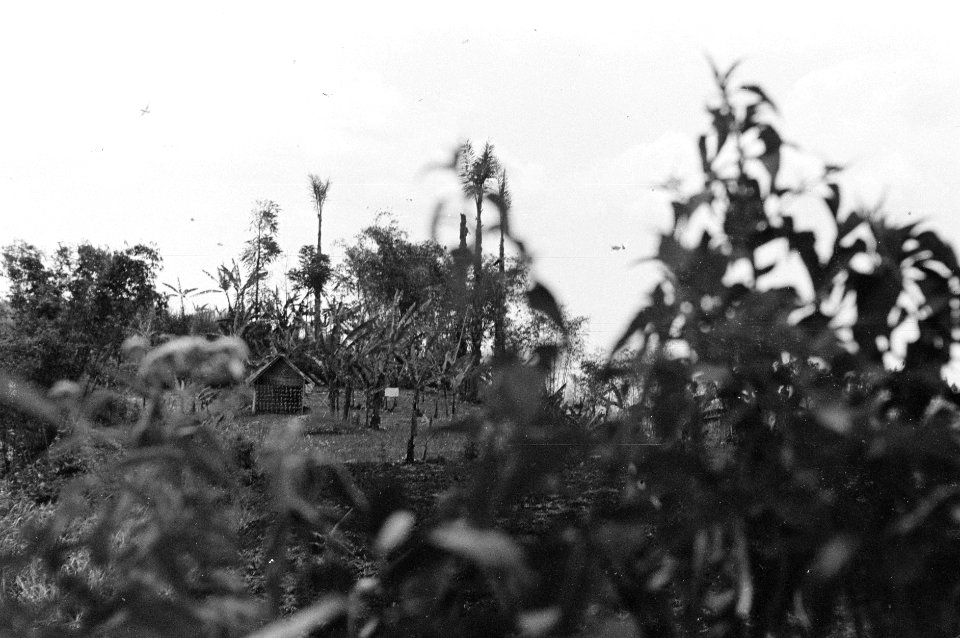 Collectie Fotocollectie Dienst voor Legercontacten Indonesië, fotonummer 2317, Bestanddeelnr 2317