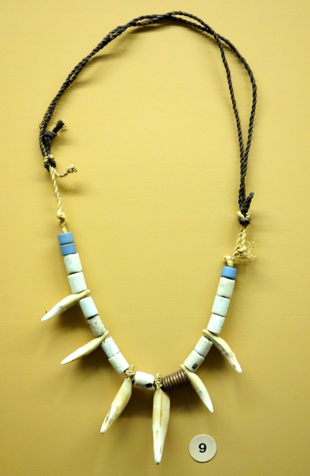 Collar worn by nkumi-manyi, leopard teeth - Tetela - Royal Museum for Central Africa - DSC06006